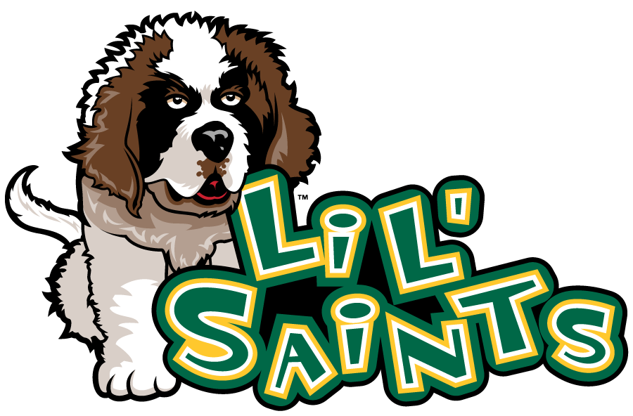 Siena Saints 2011-2023 Mascot Logo diy DTF decal sticker